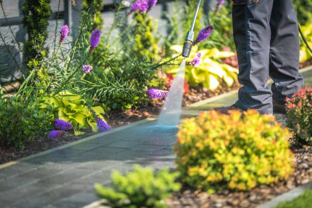 Reliable Edwardsville, IL Pressure Washing Services Solutions